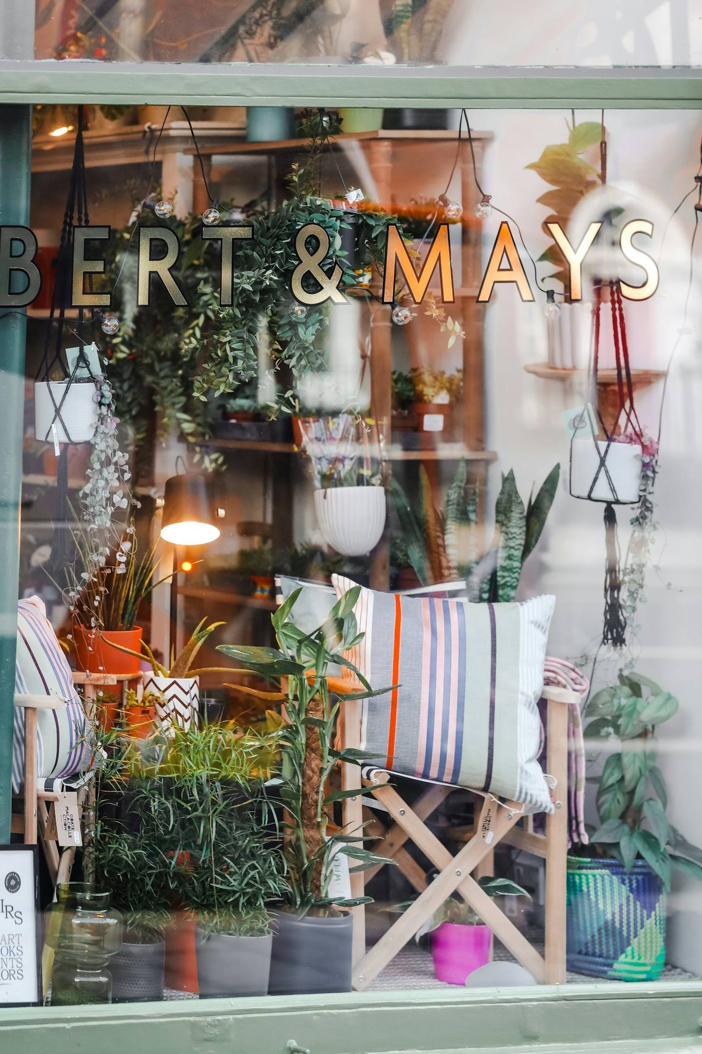 A shop window full of hanging plants and cushions