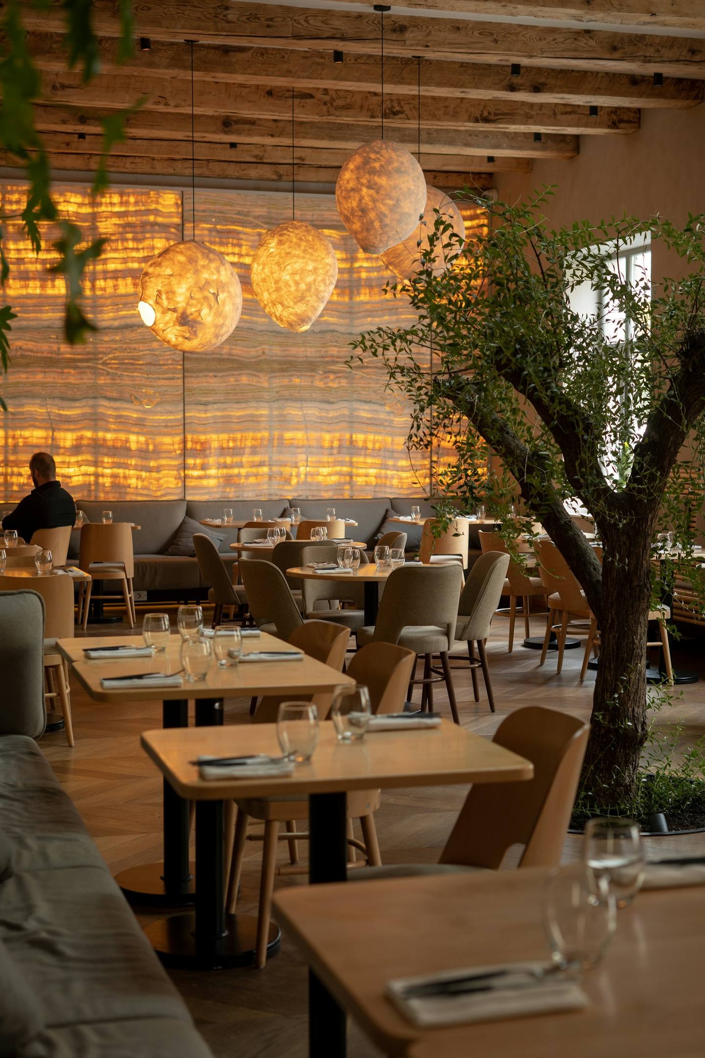 A bright restaurant with a tree growing in the dining room